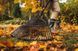 Большие садовые грабли для уборки листьев Fiskars Solid XL (1015645) 1015645 фото 5