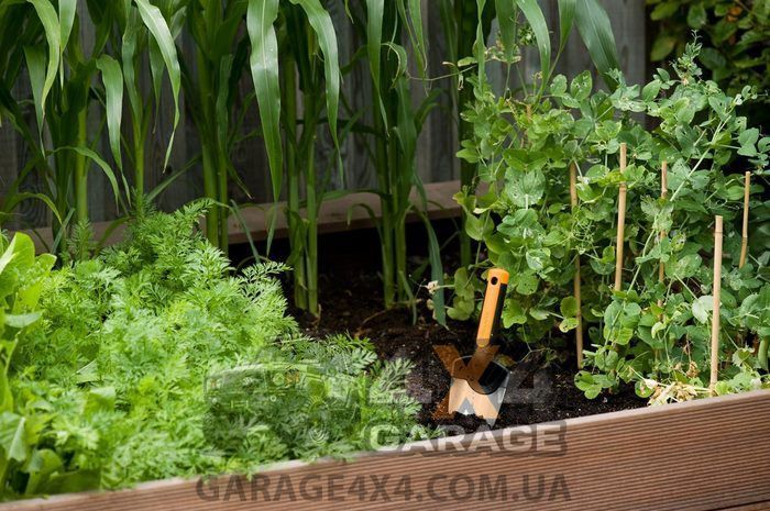 Садовая лопатка для посадки и пересадки растений Fiskars Premium 1000726 1000726 фото