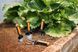 Садовая лопатка для посадки и пересадки растений Fiskars Premium 1000726 1000726 фото 10
