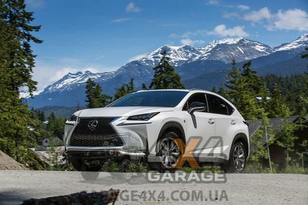 Задний перфорированный тормозной диск DBA X Gold для Lexus NX (2014 - н.в.) DBA2735X фото