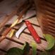 Ніж складаний, садовий Victorinox (100 мм), червоний 3.9060 1870745246 фото 3