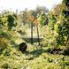 Вилы для компоста Fiskars Solid (1070674) 1070674 фото 9