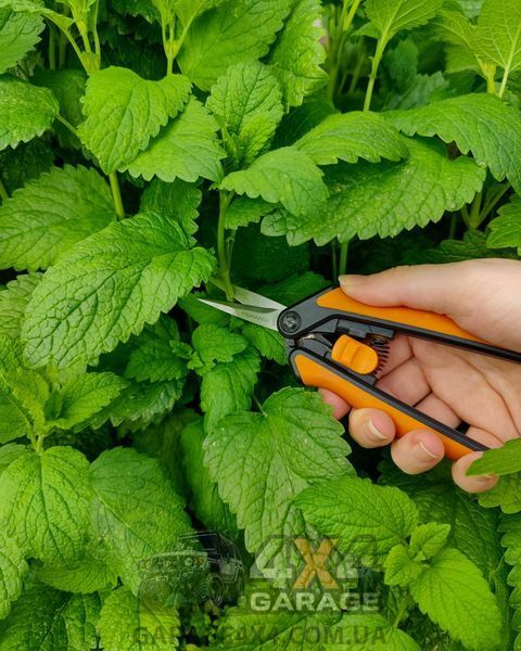 Ножиці для квітів Fiskars Solid Micro-Tip SP13 (1051600) 1051600 фото