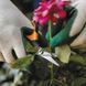 Ножницы для растений и цветов Fiskars Solid Softgrip SP15 (1051602) 1051602 фото 8