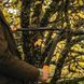 Великий площинний сучкоріз Fiskars PowerGear з загнутими лезами (L) L78 112590 1000584 фото 7