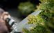 Ножницы для живой изгороди Fiskars Quantum 1001449 1001449 фото 2
