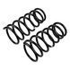 Комплект передніх пружин OME +50кг Nissan Pathfinder R50 (1996-2006) 2923 фото 3