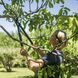 Плоскостной садовый веткорез Fiskars L74 (M) с загнутыми лезвиями (1000582) 1000582 фото 7
