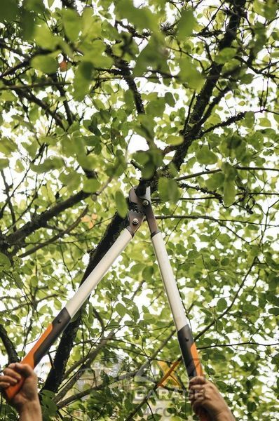 Плоскостной сучкорез Fiskars PowerGearX LX98 1020188 (L) 1020188 фото